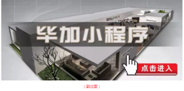 畢加邂逅小“情人”，那就再愛(ài)一次吧