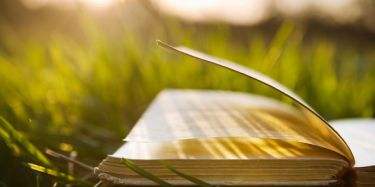 2017南國(guó)書香節(jié)暨羊城書展8月開幕